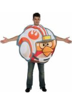    Angry Birds