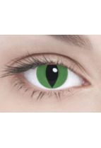  Green Cat